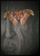 ��������� ��������