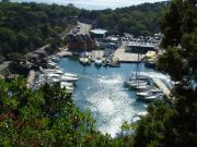 ������� �����*