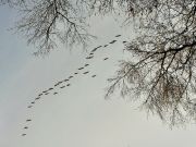 �������...