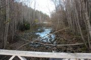 IMG 7163