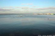 IMG 7247