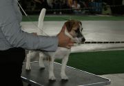 IMG 6560