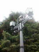 ���� ����, �����