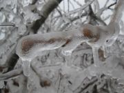 ����� � �������� 27.12.2010