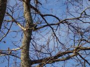  ��������� � ��� ����� 