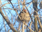 �������...