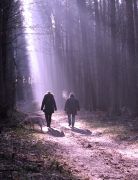 ������ � ��������