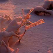 ����,��� � ������...