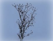 � �������� �����