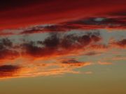 ��� ���� �����