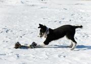 IMG 4335 