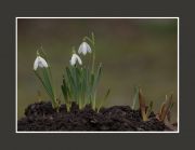 �������� �����