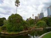 ����������� ������������ ���