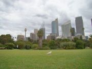 ������������ ��� ������