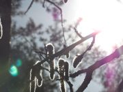 ������ �����