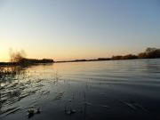 ��������� ����