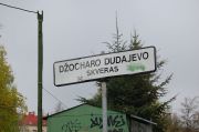 DSC 0003