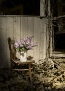 �� ����������� ����