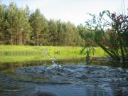 ��������� �����