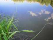 ������� � ���� ��� � �������