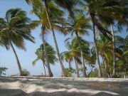 ������� �����