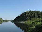 IMG 3519
