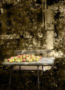 ������� �������