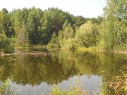 ����� ������