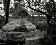 ����������� �������