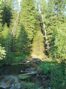 ������� �����