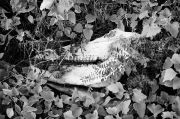 DSC 026311