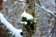 DSC00177