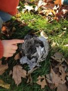 ������ ������ ������� �����.