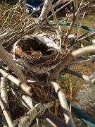 ��������� ������������ ����������� �������� ��� ��������� ������:)