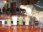 ��������� �����