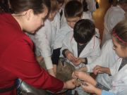 ����������� �����