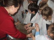 ����������� �����