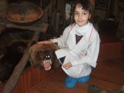 ���� � �������