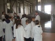 � �������� ����