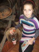 ������ � �������