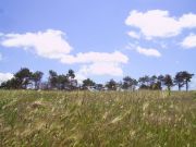 ����� � ������