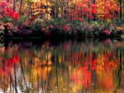 ������� ��������