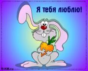 30d015911e0d