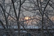 DSC 0095