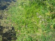 �����-������