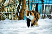 DSC00814 fhdr