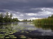 ��������.