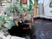 ��������� � �����