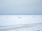 IMG 4251-0