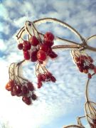 ������ �� ���� ����